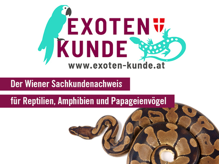 Exoten-Kunde-Sujet_10.jpg